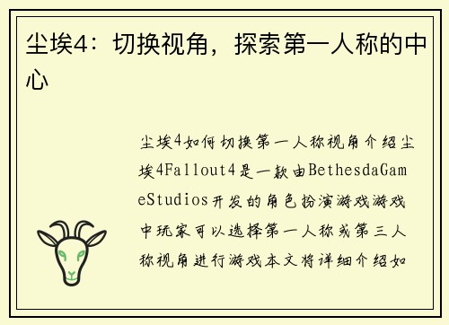 尘埃4：切换视角，探索第一人称的中心